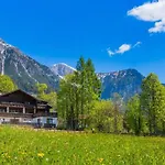 Bergidyll 1 Gartenwohnung Apartment Ramsau am Dachstein
