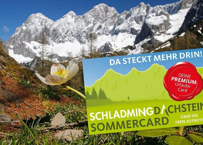 Διαμέρισμα Bergidyll 1 Gartenwohnung